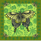 Pañuelo Mariposa Verde